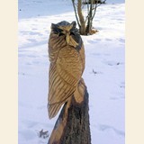 gallery_owl